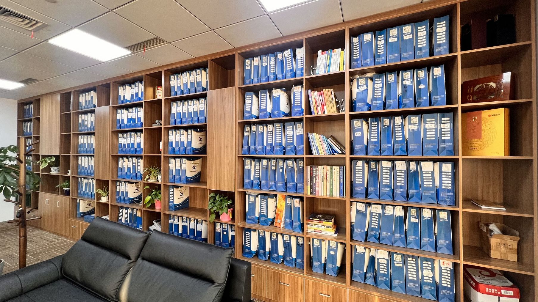 崇明绿色发展新机遇把握？