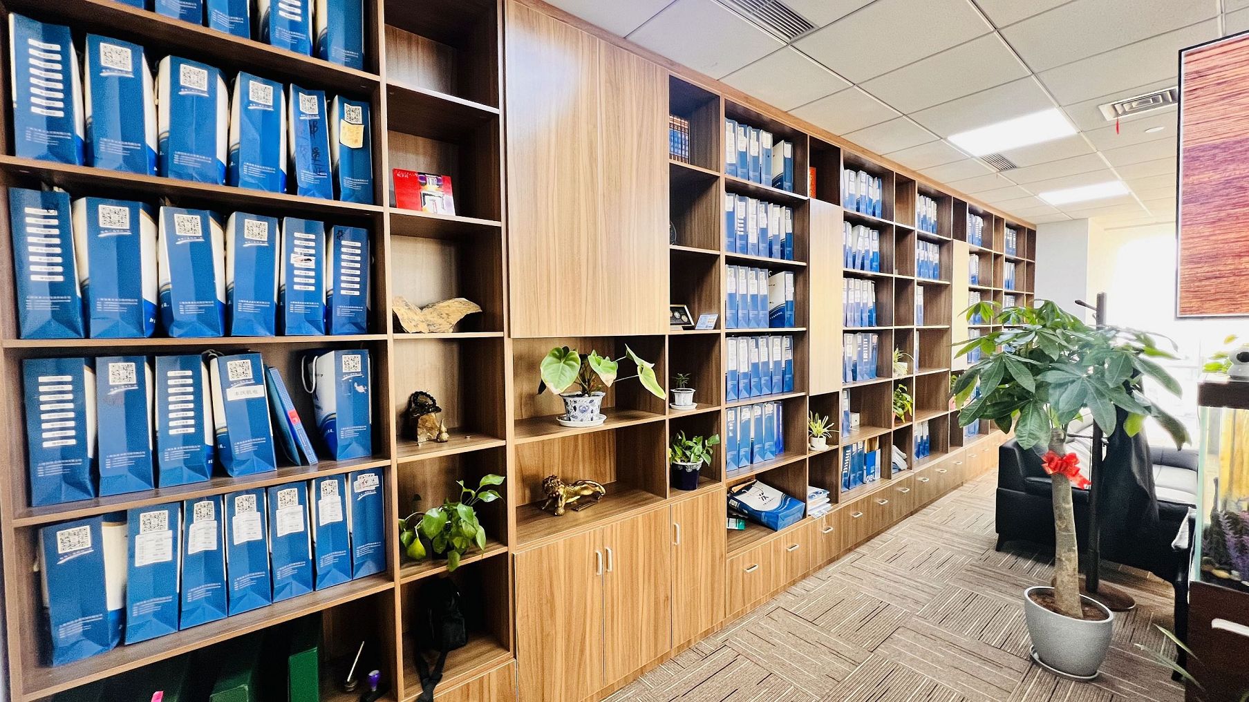 崇明创业生活工作平衡？